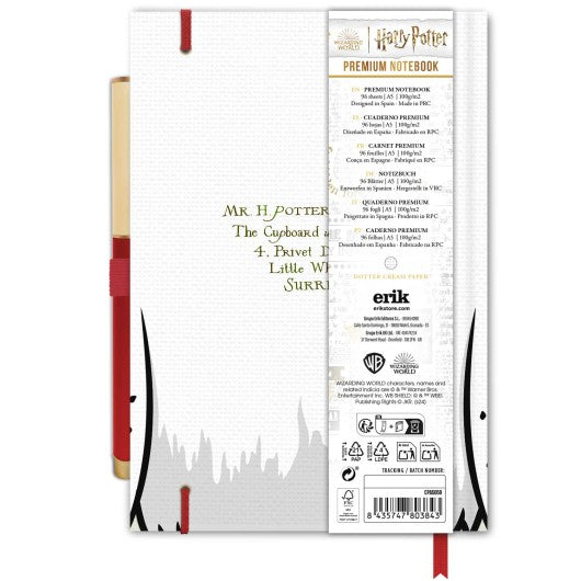 Vista traseira do caderno A5 Premium Harry Potter Hedwig com detalhes técnicos na embalagem.